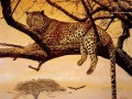 leopard 20